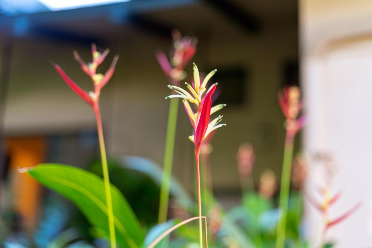 Noahs Hideaway Luxury B&B Lahaina Extérieur photo