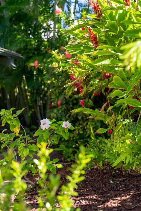 Noahs Hideaway Luxury B&B Lahaina Extérieur photo